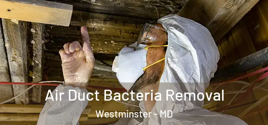  Air Duct Bacteria Removal Westminster - MD