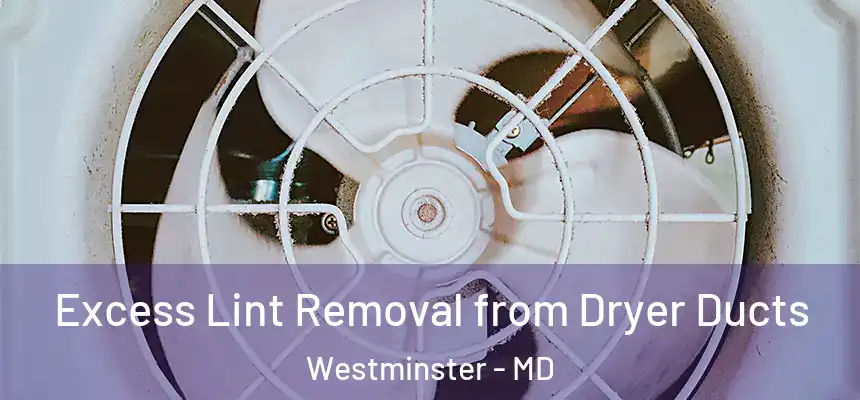 Excess Lint Removal from Dryer Ducts Westminster - MD