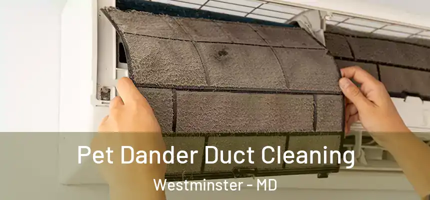 Pet Dander Duct Cleaning Westminster - MD