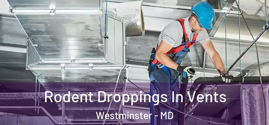 Rodent Droppings In Vents Westminster - MD