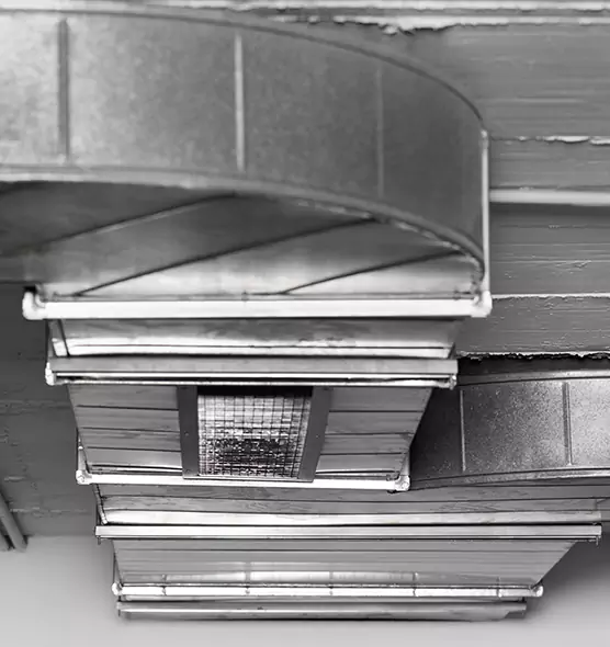 Professional Air Duct Pet Hair Removal in Westminster, MD