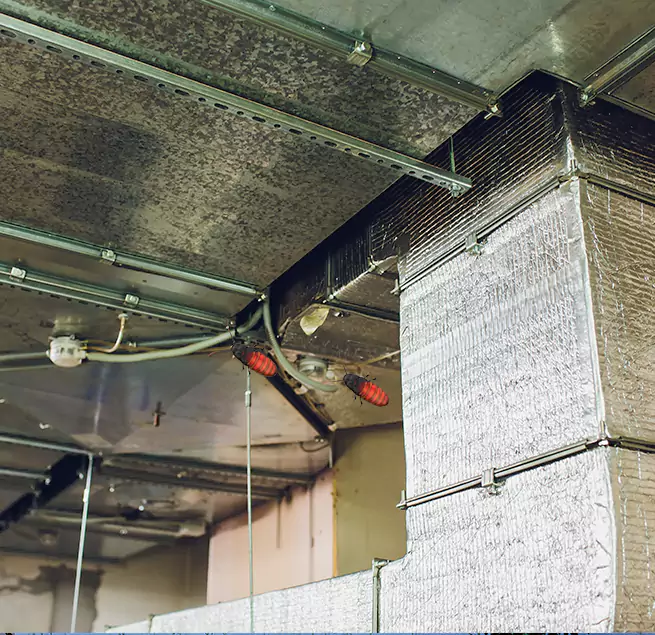 Why Homeowners & Businesses Trust Us Westminster, MD?